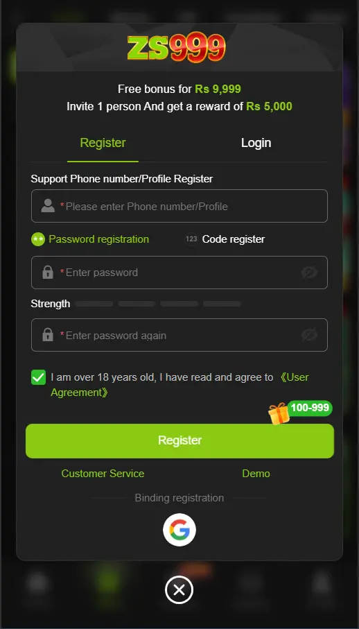 zs999 register